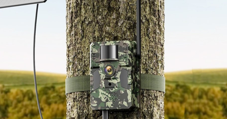camo print trail camera strapped to a tree