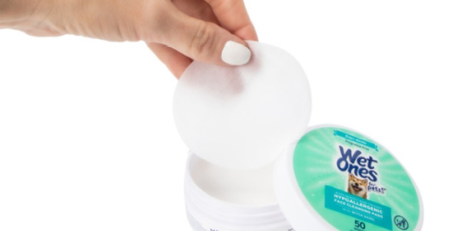 Wet Ones Pet Wipes 50-Count Just $2 Shipped on Amazon