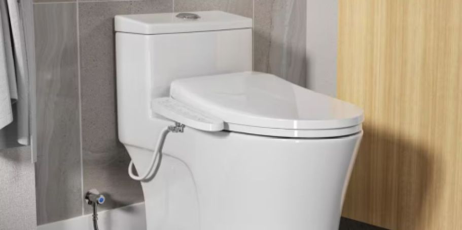 Home Depot Deals of the Day | Up to 40% Off Bidets, Closet Organizaton, & More