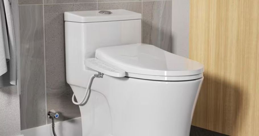 Home Depot Deals of the Day | Up to 40% Off Bidets, Closet Organizaton, & More