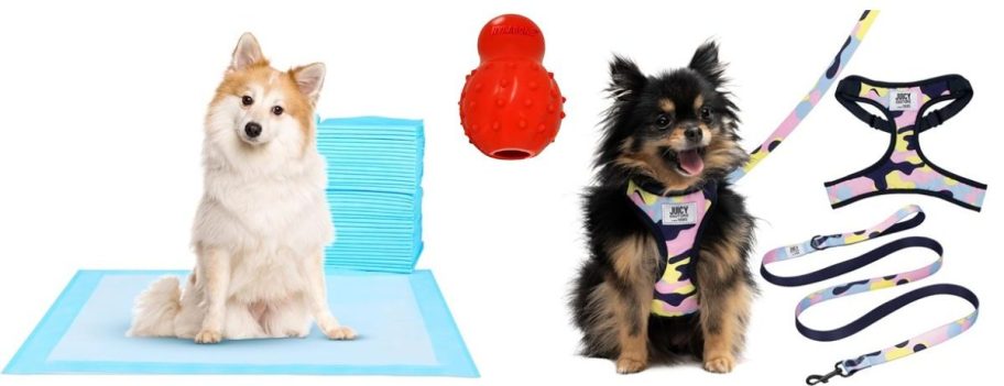 Stock images of pet pads, a chew toy and a juicy couture harnass set