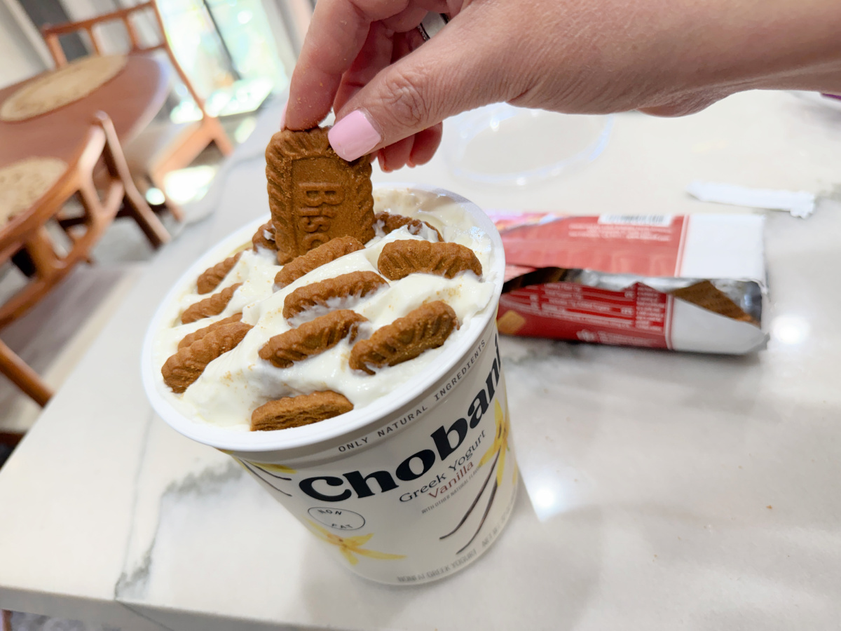 The 2 Ingredient Greek Yogurt Cheesecake Taking Over the Internet!