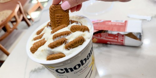 The 2 Ingredient Greek Yogurt Cheesecake Taking Over the Internet!