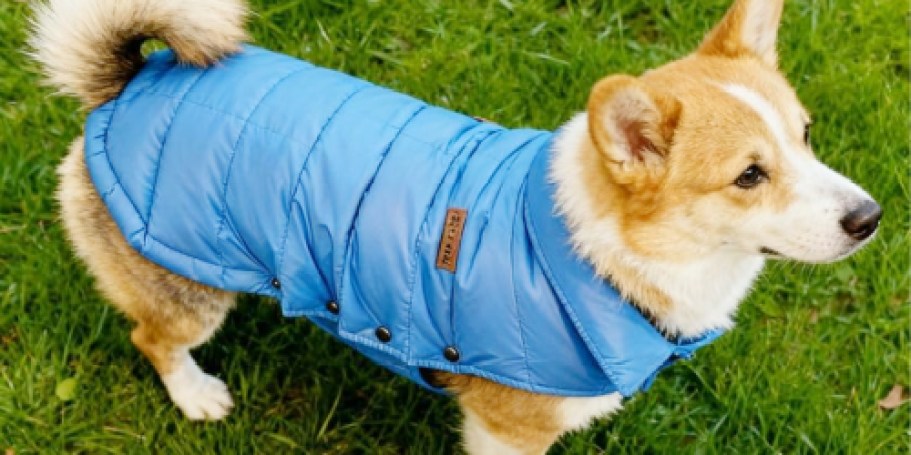 Pet Down Puffer Jacket from $9.88 Shipped on Amazon (Reg. $40)