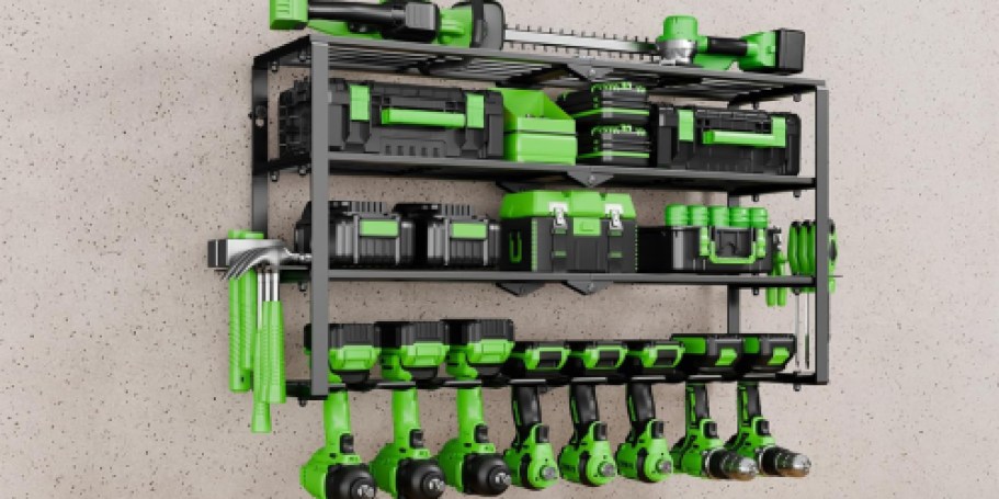Wall-Mounted Tool Organizer Only $24.99 Shipped on Amazon (Reg. $50)