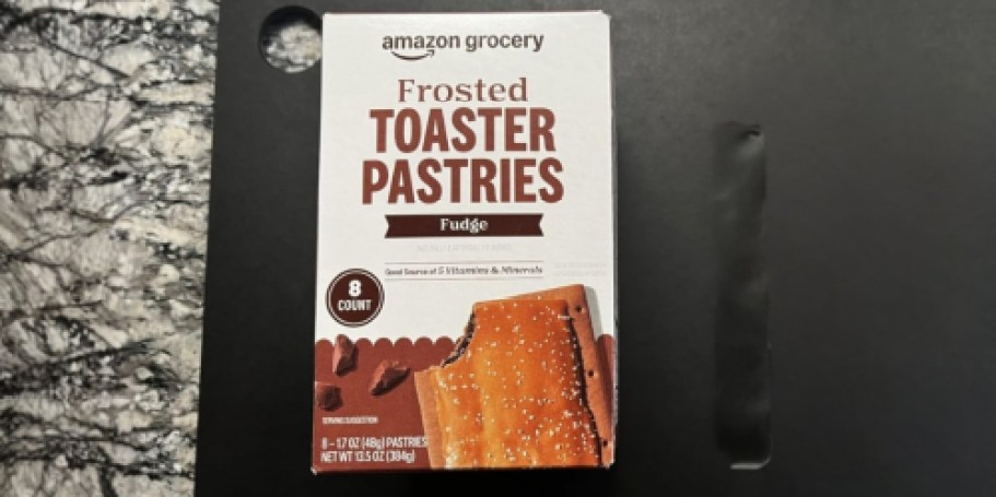 Amazon Frosted Toaster Pastries 8-Count Only $1.35 Shipped