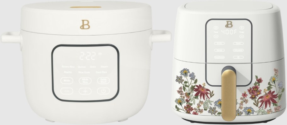 ric an grain cooker and air fryer