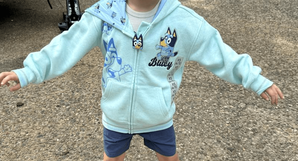 bluey hoodie
