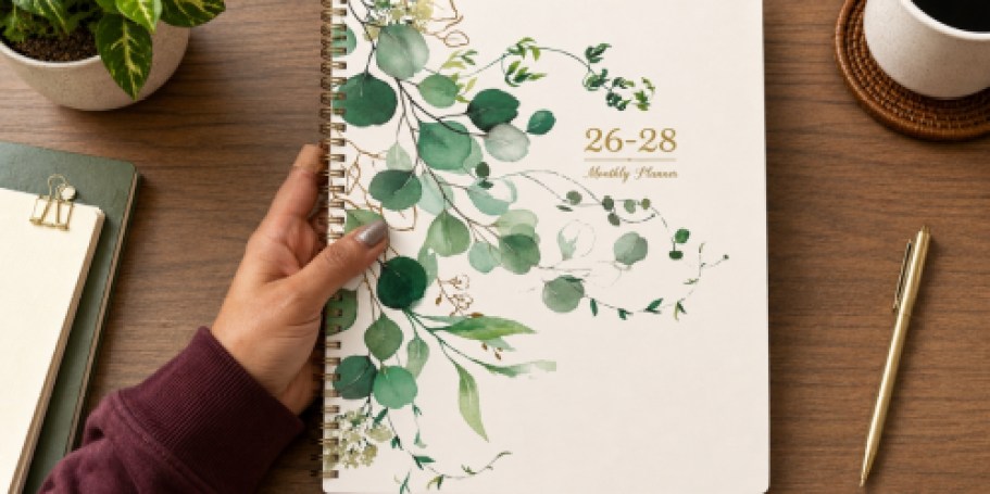 2026-2028 Monthly Planner Only $4.49 on Amazon