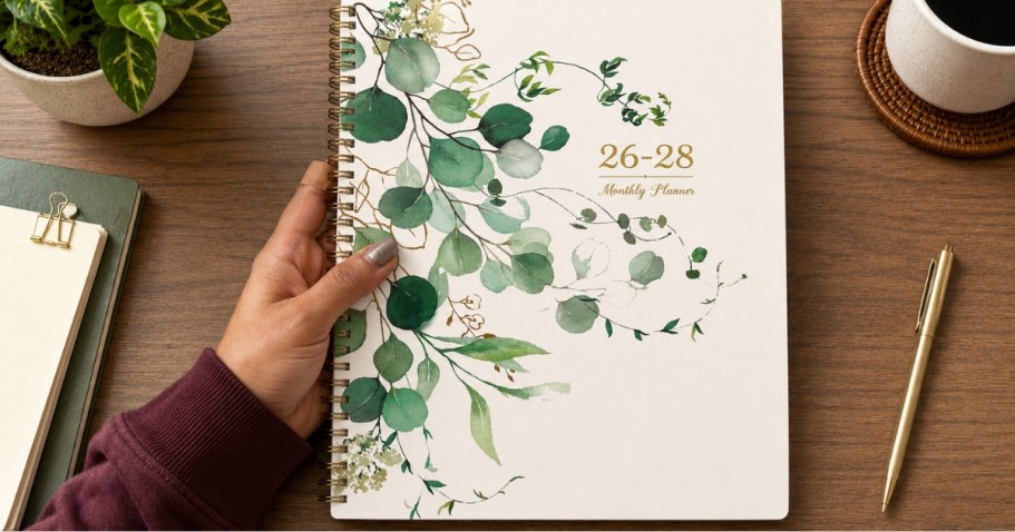2026-2028 Monthly Planner Only $4.49 on Amazon