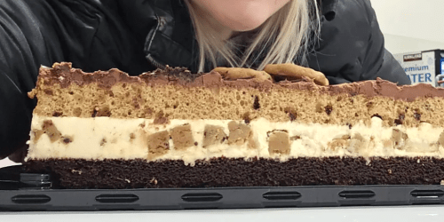 NEW Costco Desserts, Including the Viral Chocolate Chip Cookie Bar Cake!