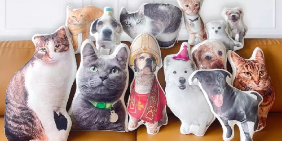 Looking for a Fun Gift Idea? These Custom Pet Pillows Are Only $20 Shipped!