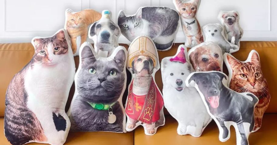 custom pet pillows on couch