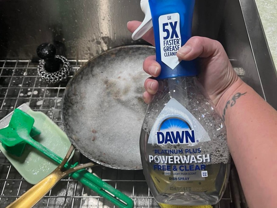 holding a bottle of Dawn spray