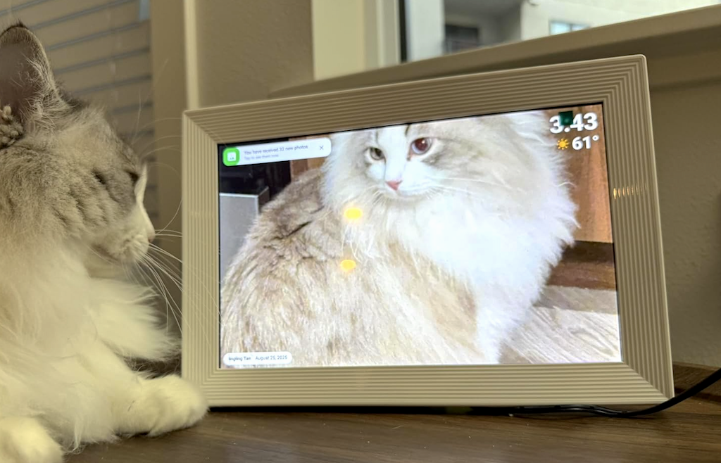 Digital Picture Frame Just $28 Shipped for Amazon Prime Members (Reg. $68)