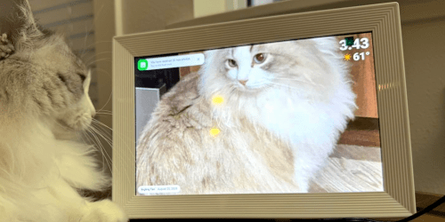 Digital Picture Frame Just $28 Shipped for Amazon Prime Members (Reg. $68)