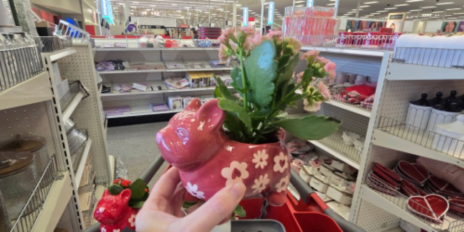 $5 Off Target Frenchie Valentine’s Planters for Target Circle 360 Members