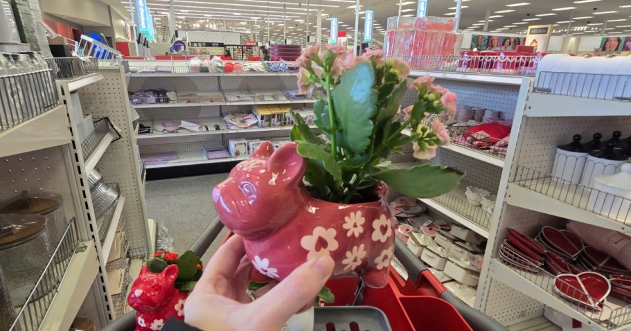 $5 Off Target Frenchie Valentine’s Planters for Target Circle 360 Members