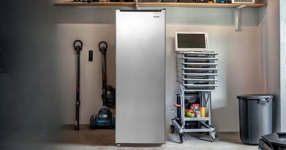 upright frigidaire freezer in garage