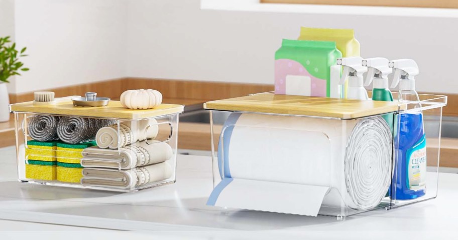 two acrylic organizers filled with cleaning products on counter