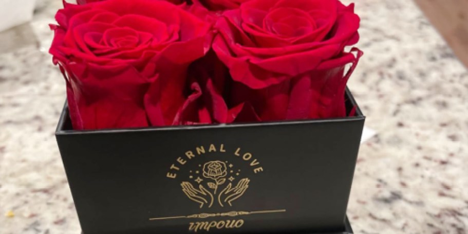 Preserved Roses in Box Only $12 on Amazon | Great Gift for Mom!