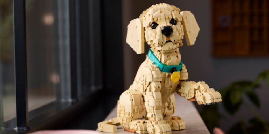 Pre-Order NEW LEGO Sets | Golden Puppy, Spring Wreath, Pokemon & More