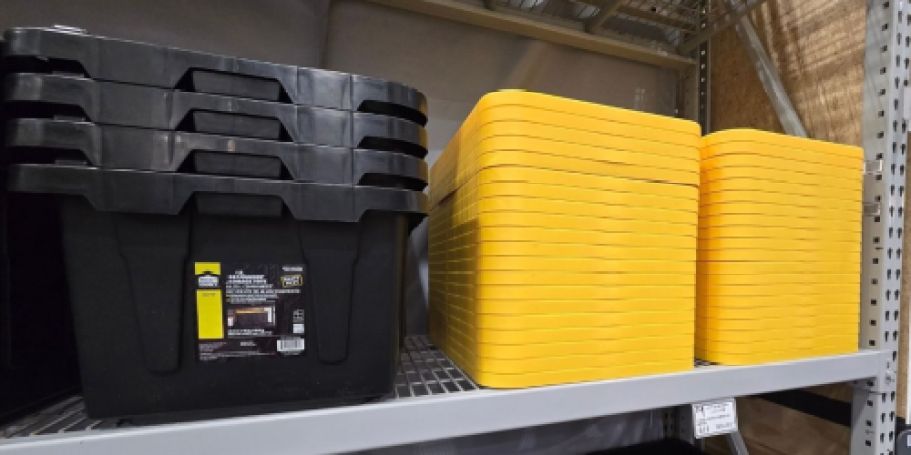 Lowe’s 27-Gallon Tote Just $7.98 Delivered for Rewards Members (+ New Dividers!)