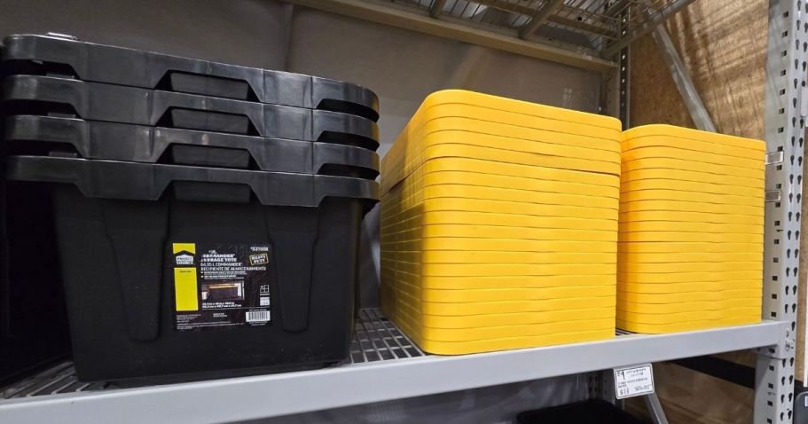 Lowe’s 27-Gallon Tote Just $7.98 Delivered for Rewards Members (+ New Dividers!)