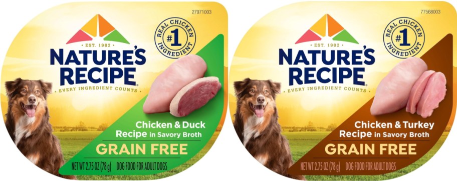 Two containers of Nature's Recipe wet dog food.