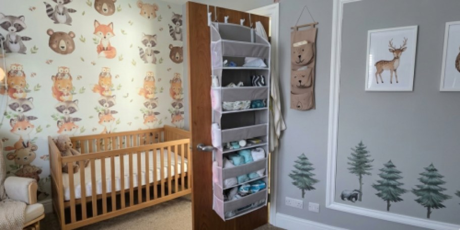 Over-the-Door Organizer Just $10.49 on Amazon