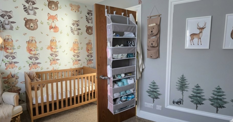 Over-the-Door Organizer Just $10.49 on Amazon