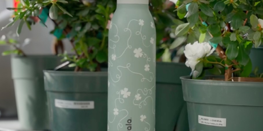 NEW Owala Clover FreeSip Twist Drops at 12PM ET Today (Will Sell Out)