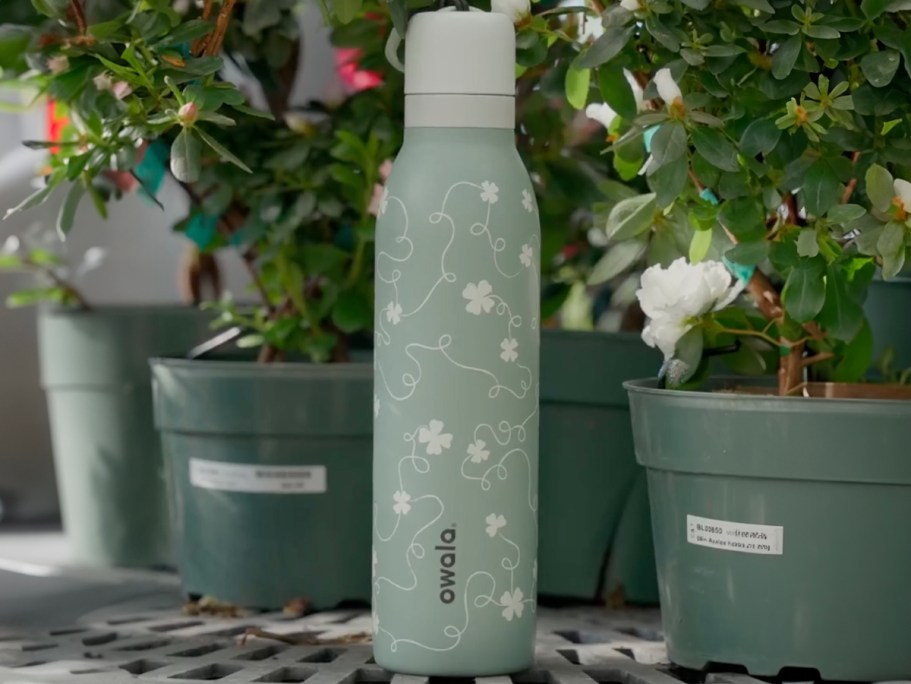 NEW Owala Clover FreeSip Twist Drops at 12PM ET Today (Will Sell Out)