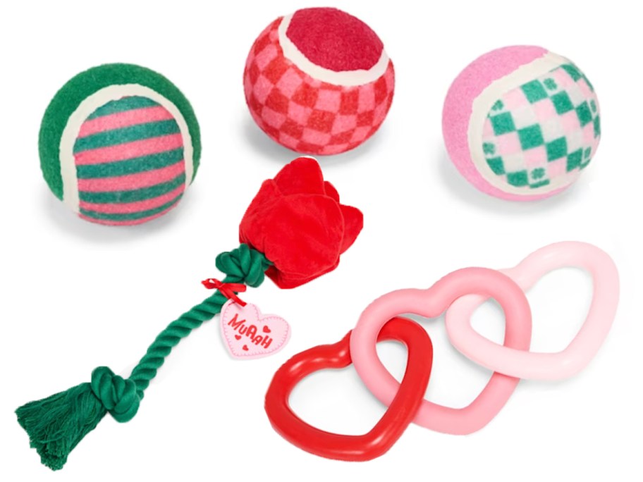 valentines balls, rose, and heart dog toys 