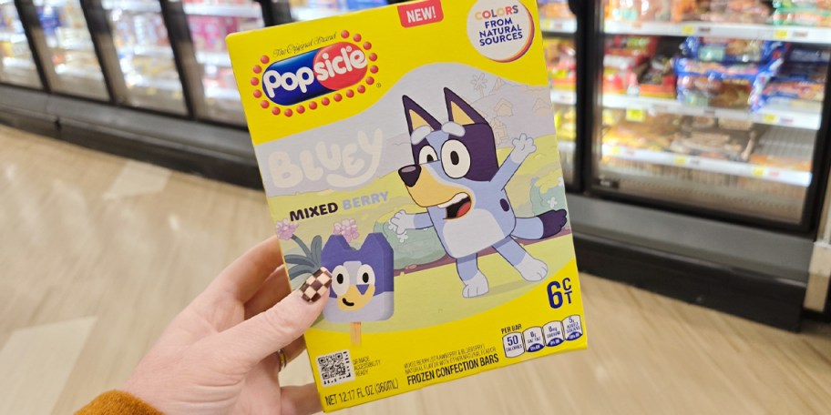 hand holding bluey frozen treat box