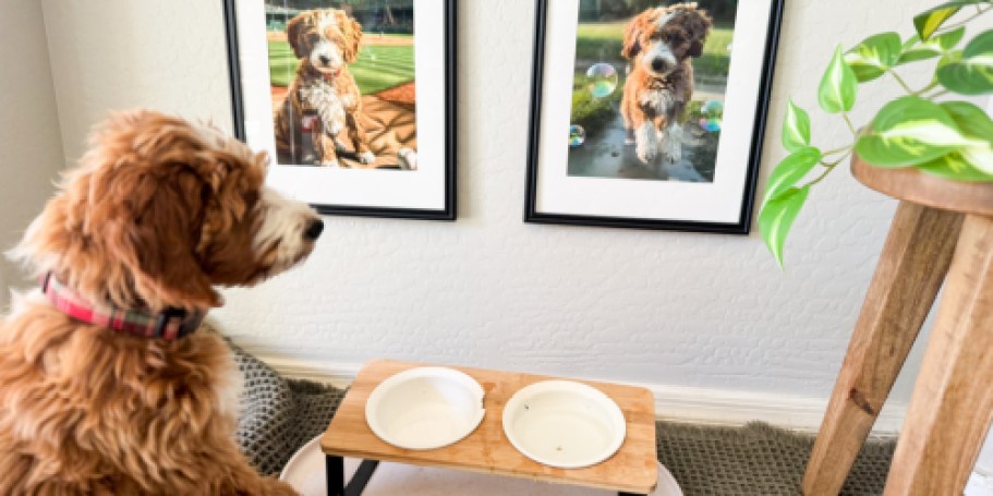 Create Custom Pet Digital Art for Just $3.99!