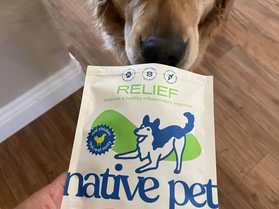 Up to 50% Off Native Pet on Amazon | Pain Relief 30-Count Chews Just $7 Shipped