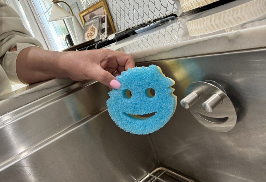 hand holding a scrub daddy sponge next to a sponge holder on the sink