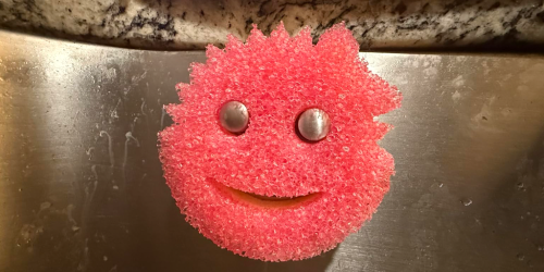 Upgrade Your Sink With This Scrub Daddy Sponge Holder (Under $7 on Amazon!)