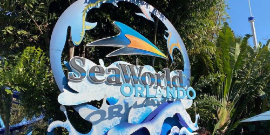 Up to 65% Off SeaWorld, Aquatica, & Busch Gardens Tickets + Dining