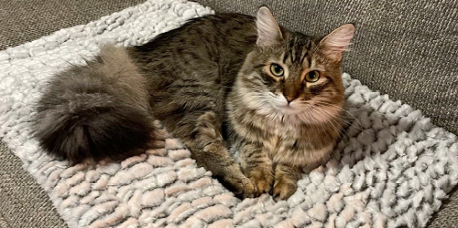 Self-Warming Pet Bed Only $13 on Amazon (Regularly $22)