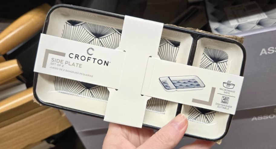 hand holding side plater dish