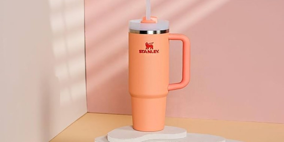 orange stanley tumbler
