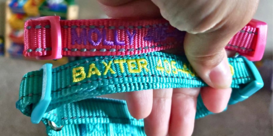Personalized Dog Collars Only $6.99 on Amazon