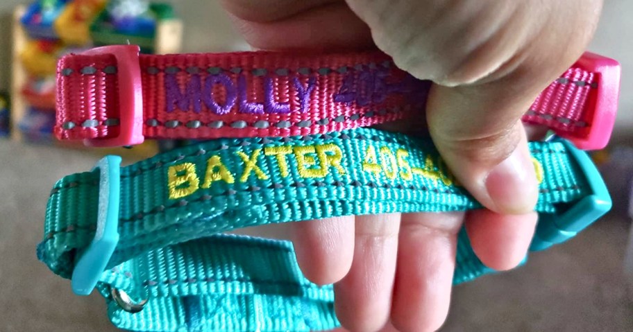 hand holding two embroidered dog collars