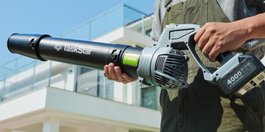 Cordless Leaf Blower w/ Batteries & Charger Just $42 Shipped on Amazon (Reg. $85)
