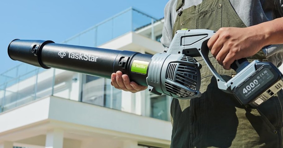 Cordless Leaf Blower w/ Batteries & Charger Just $42 Shipped on Amazon (Reg. $85)