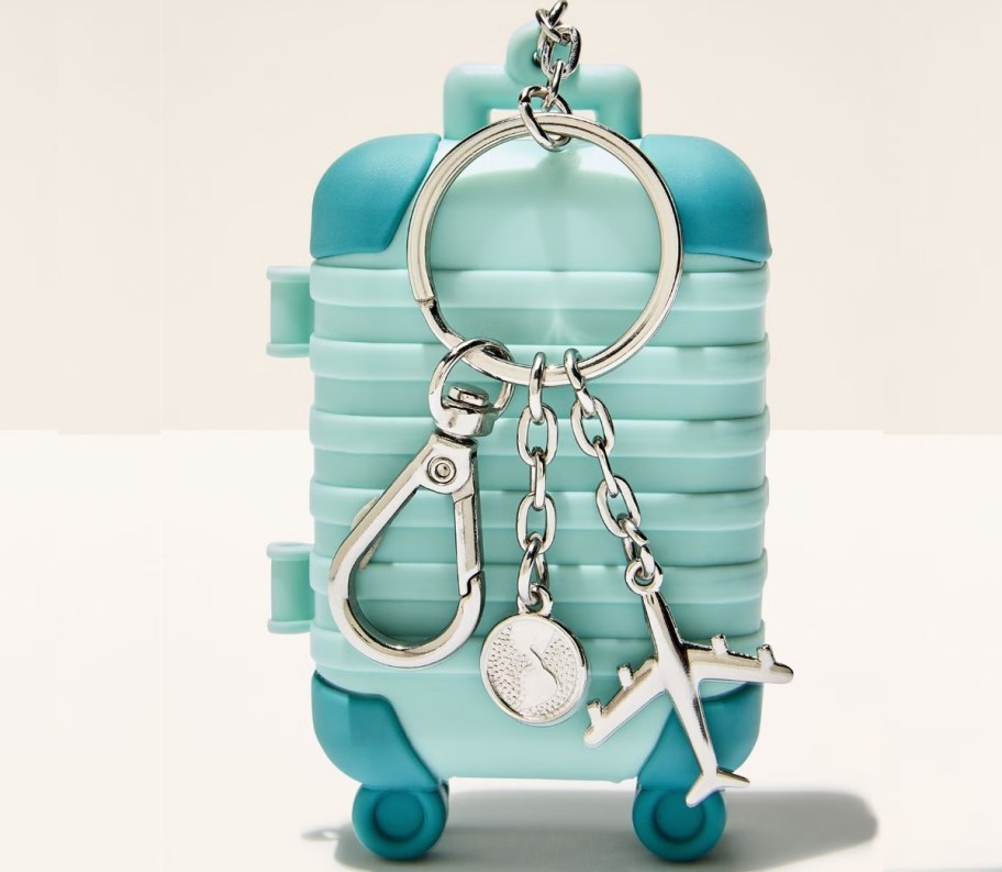 rolling suitcase pocketbac holder