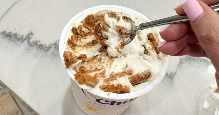 The 2 Ingredient Greek Yogurt Cheesecake Taking Over the Internet!