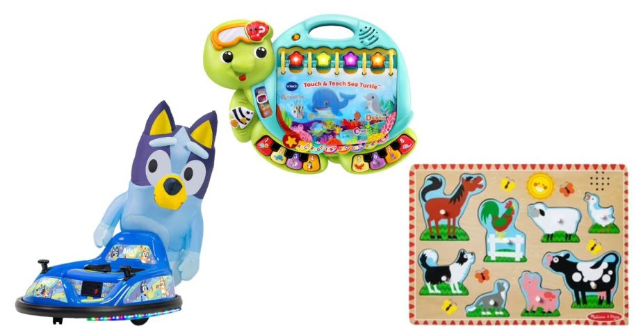 a bluey, vtech, and melissa and doug toy